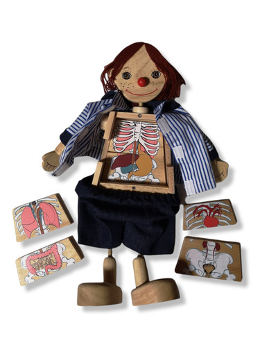 Holzspiel puppe organe puzzle - puppe,
